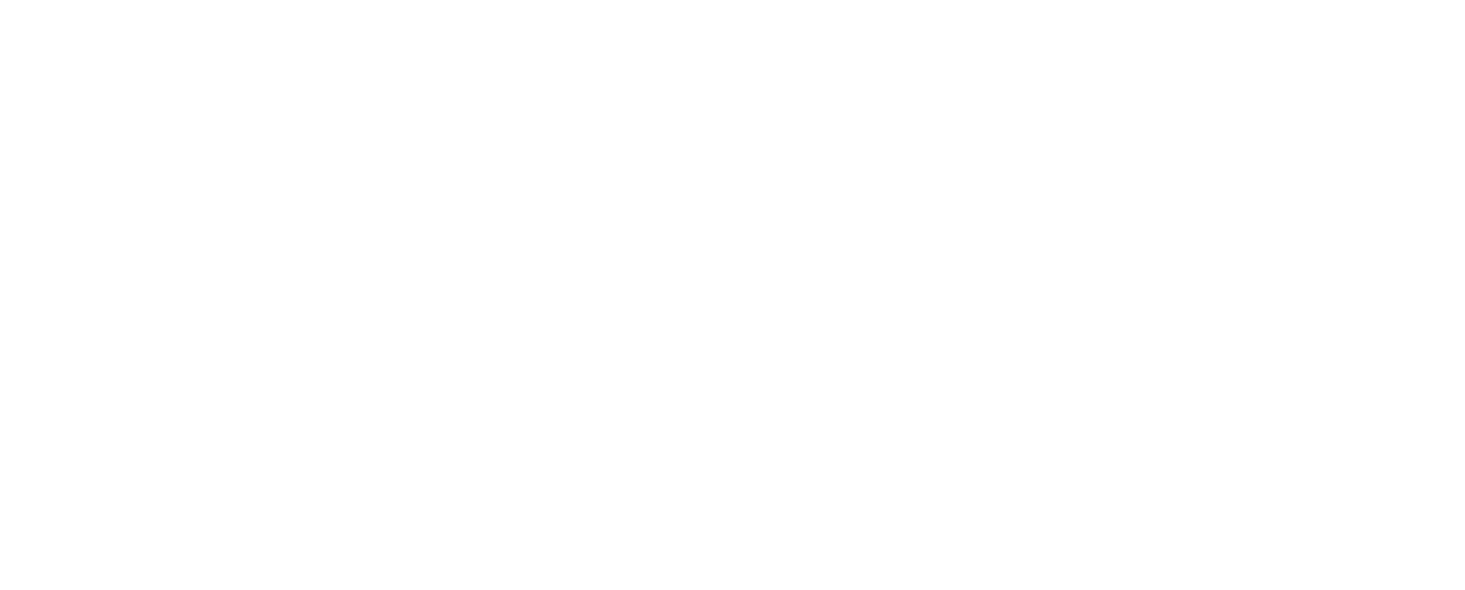 Adoga-Logo